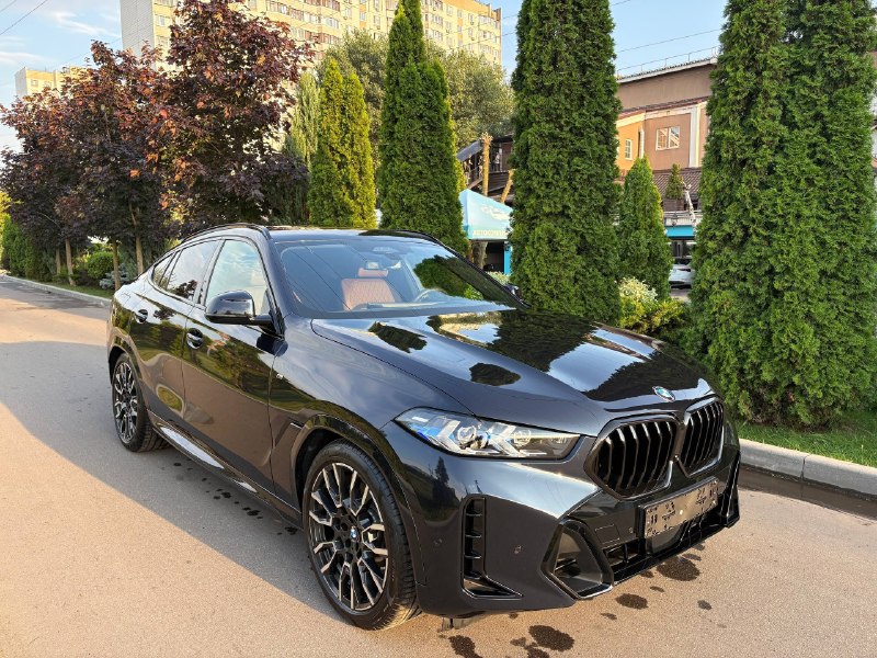 2025 BMW X6 40i